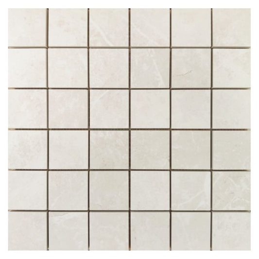 Dolomia White Nat Mosaic 12 x 12