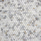 Calacatta Gold Penny Round Mosaic