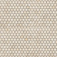 Crema Marfil Hexagon 1" Mosaic